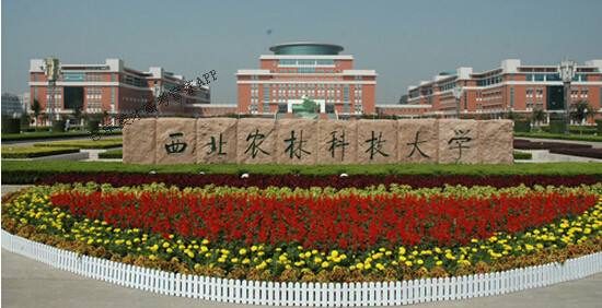 西北农林科技大学