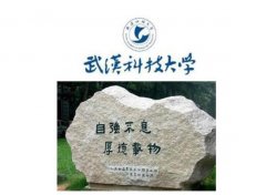 武汉科技大学2022年预调剂公告