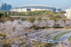 2022年MBA项目复试网申流程 上海对外经贸大学
